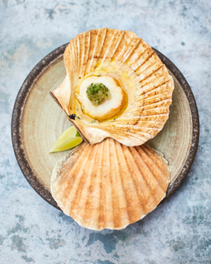 Dinings Scallop